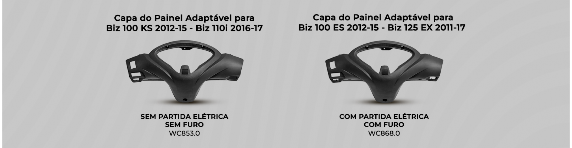 Capa Painel Biz