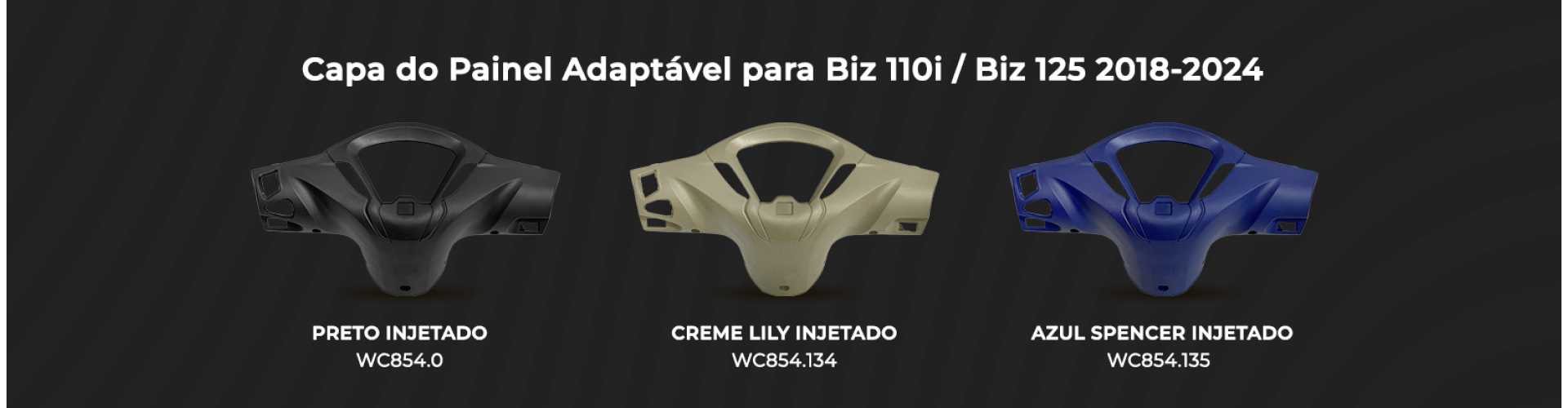 Capa Painel Biz